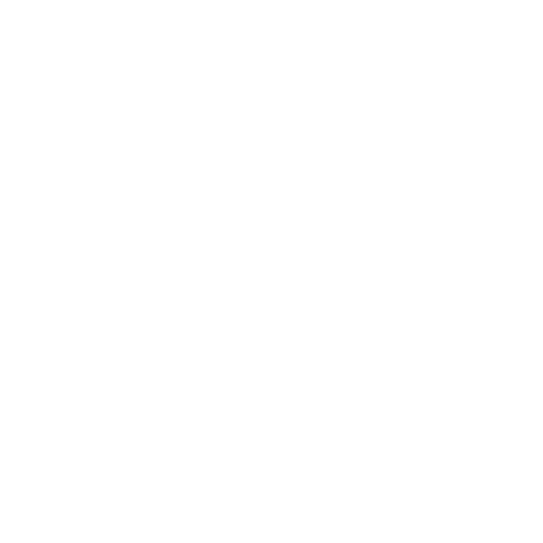 bramhand lab